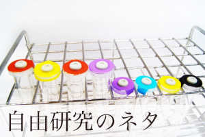 自由研究　ネタ