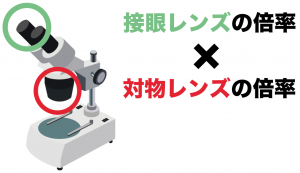 顕微鏡レンズ　倍率　計算方法　求め方