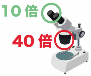 顕微鏡レンズ　倍率　計算方法　求め方