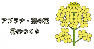 アブラナの花（菜の花）のつくり