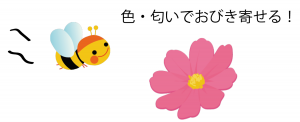 花のつくりとはたらき 図