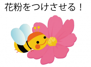花のつくりとはたらき 図