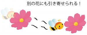 花のつくりとはたらき 図