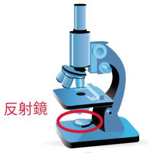 顕微鏡　使い方