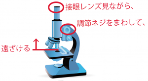 顕微鏡　使い方