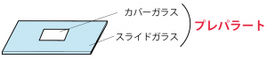 プレパラート　作り方