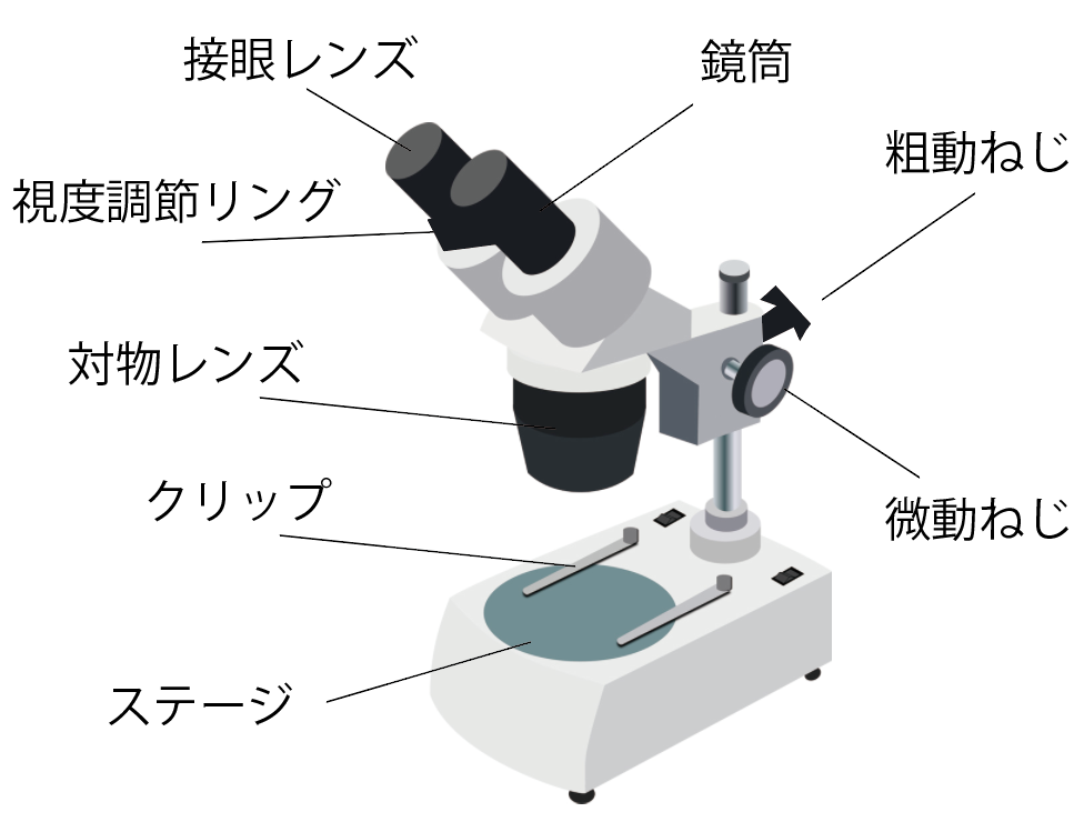 双眼実体顕微鏡 - 美容/健康