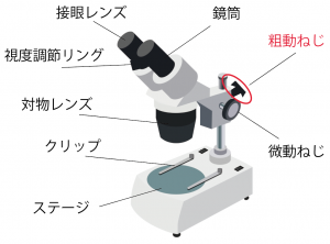 双眼実体顕微鏡　名称