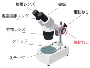 双眼実体顕微鏡　名称