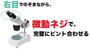 双眼実体顕微鏡　使い方