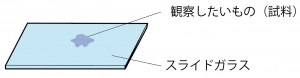 プレパラート、スライドガラス、カバーガラスの違い