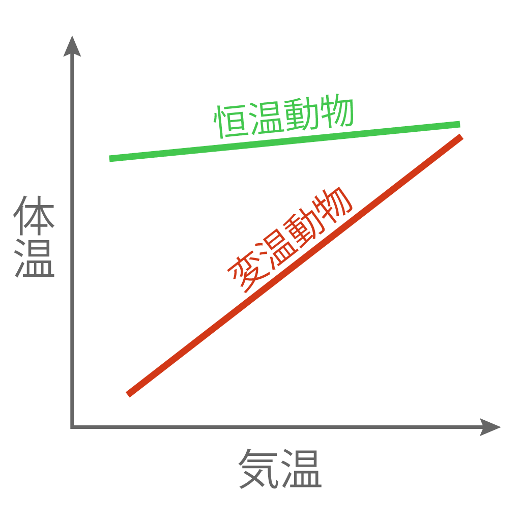 恒温動物 変温動物 違い