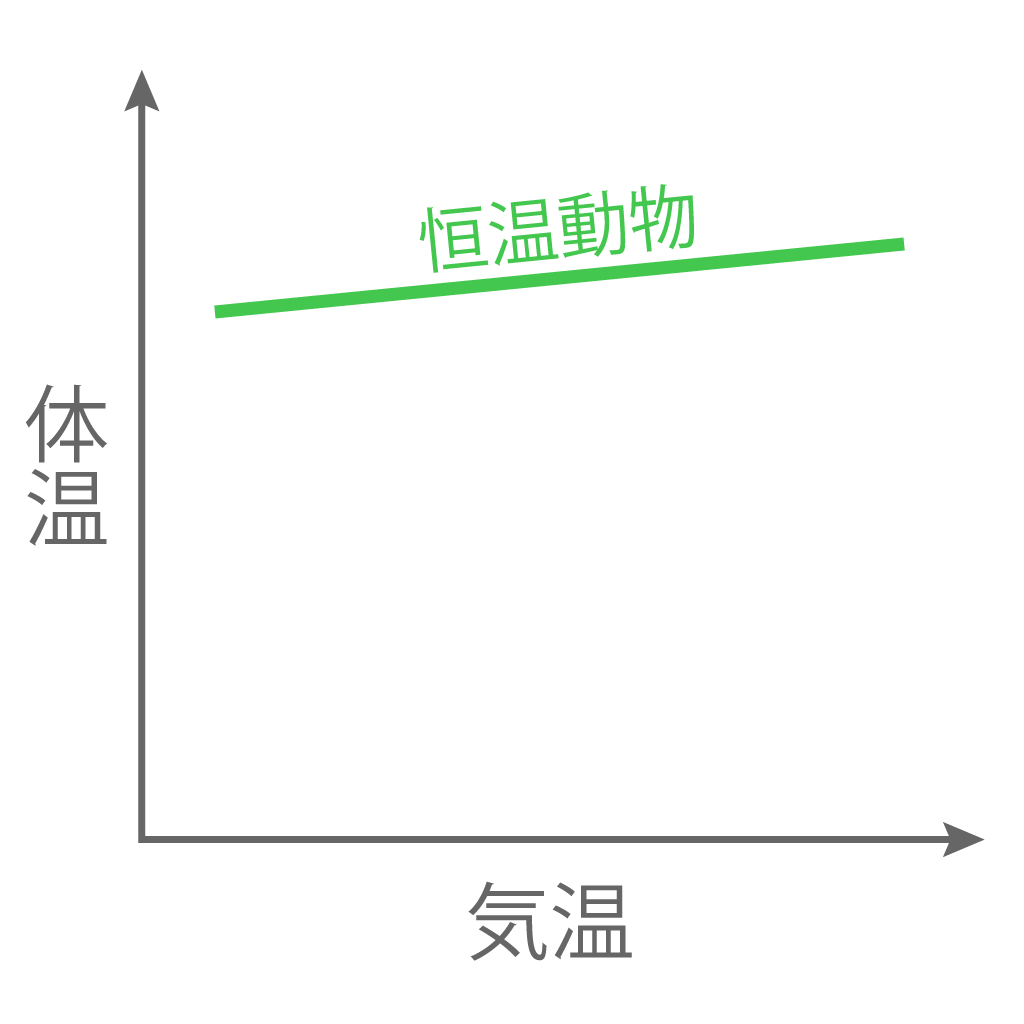 恒温動物 変温動物 違い