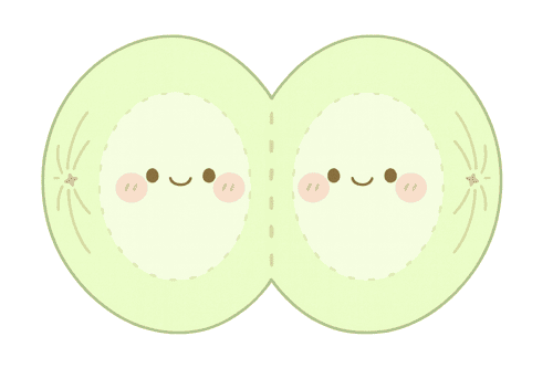 細胞分裂 過程 イラスト 図