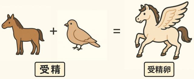 受精 受精卵 違い