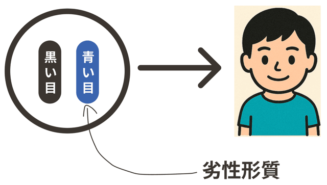 優性形質 劣性形質 違い