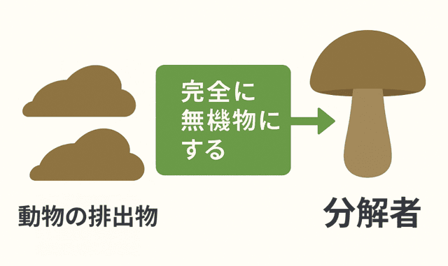 生産者 消費者 分解者 違い
