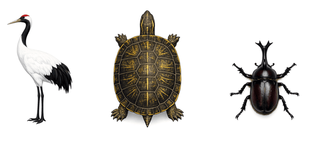 つるかめ算（3種類）の解き方｜ツル・カメ・カブトムシ編